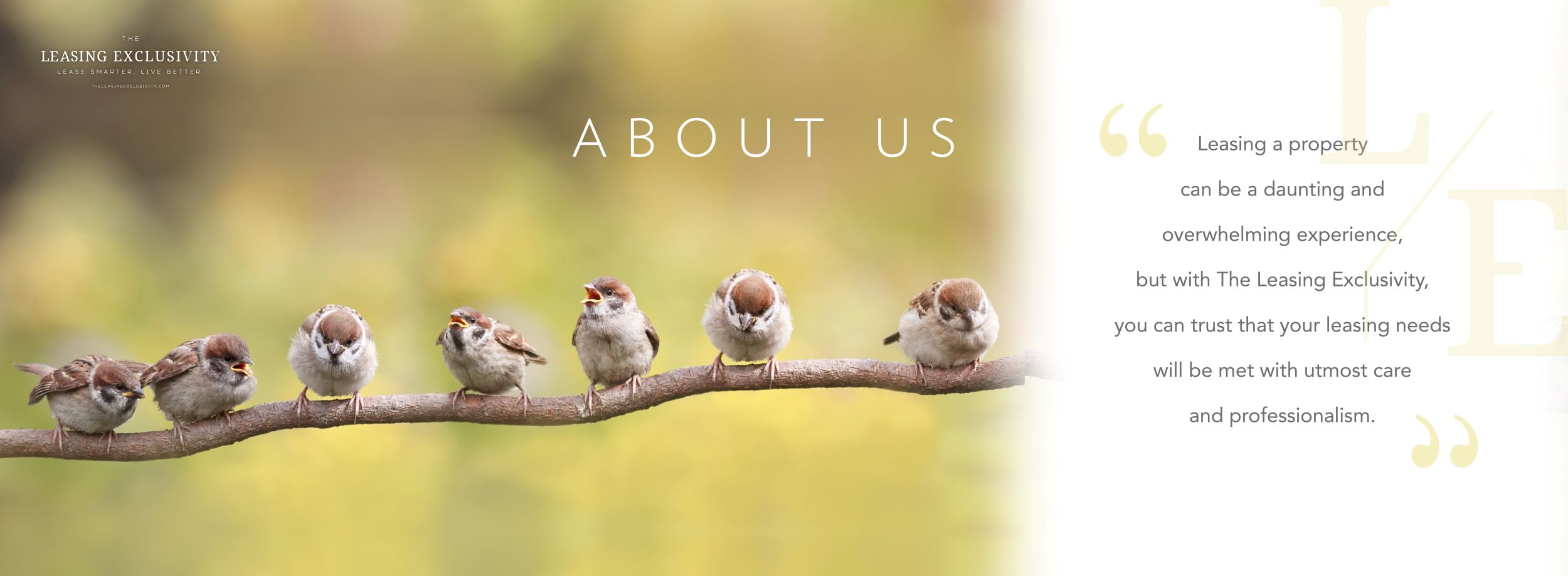 TLE Leasing NEW Website About Us-01
